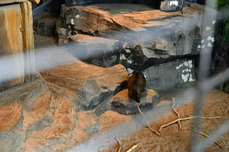 오산 버드파크 후기 사진18