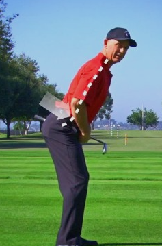 골프 어드레스 S-자세