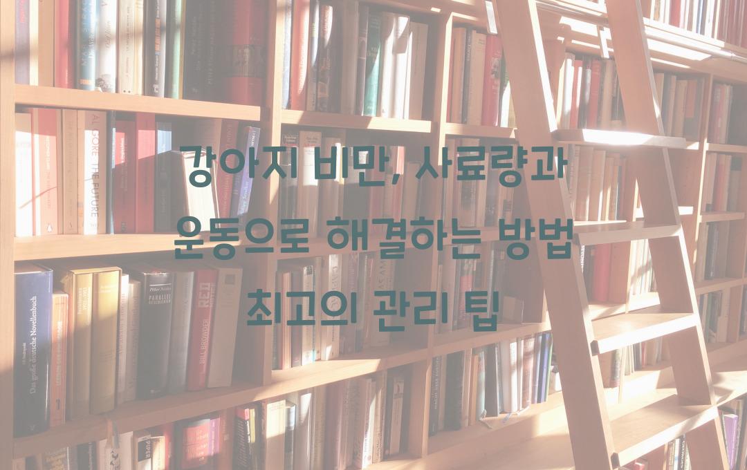 강아지 비만, 사료량과 운동으로 해결하는 방법