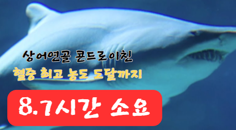 상어연골 콘드로이친 혈중 최고 농도 도달 시간