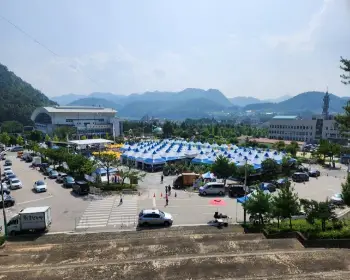 홍천 찰옥수수 축제_8