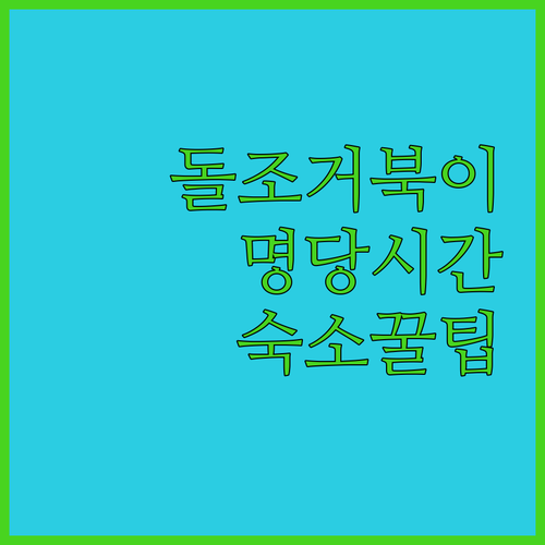 돌조 포인트 거북이 스노클링 명당 시..