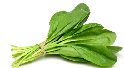 시금치
