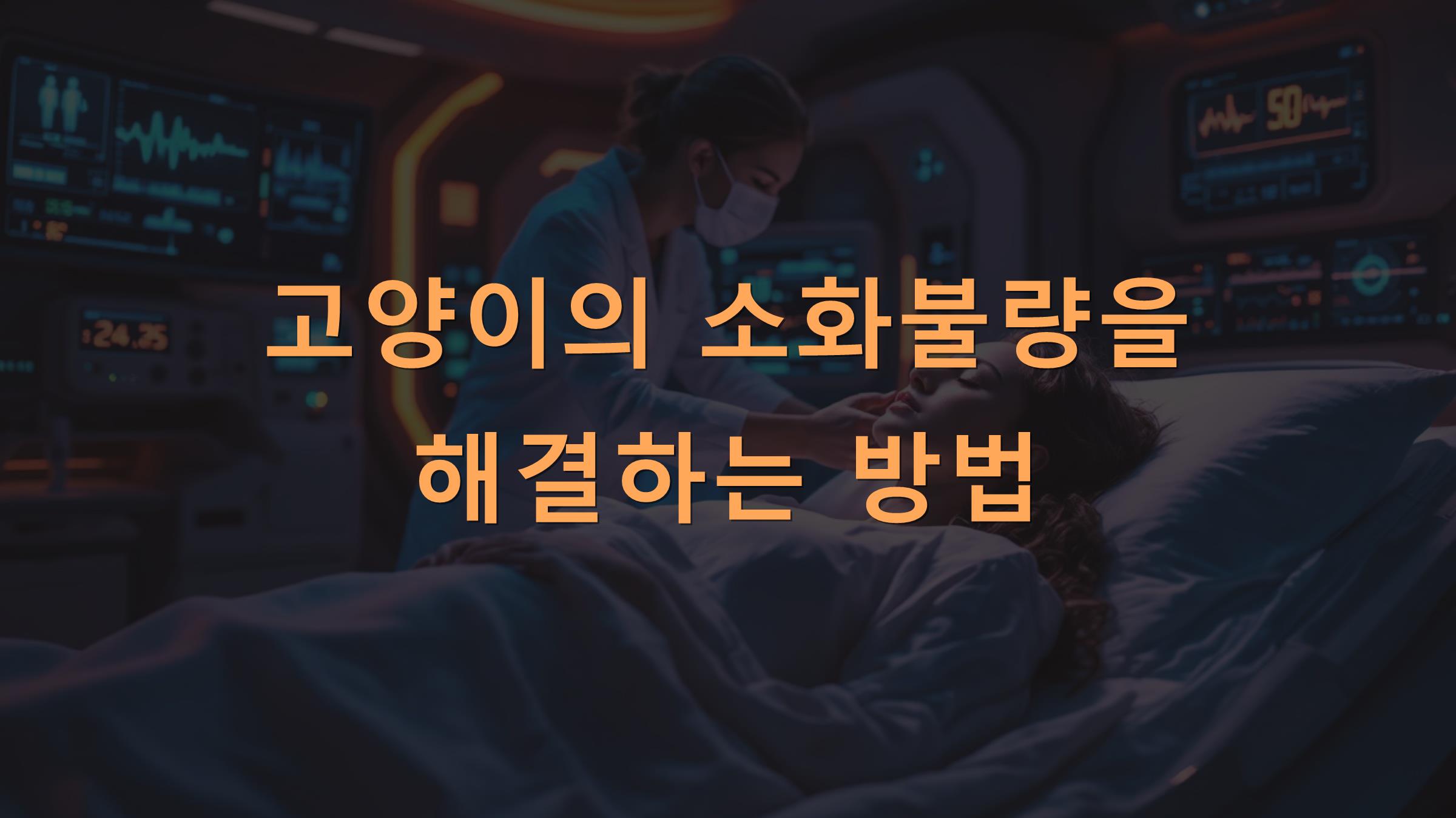 고양이의 소화불량을 해결하는 방법