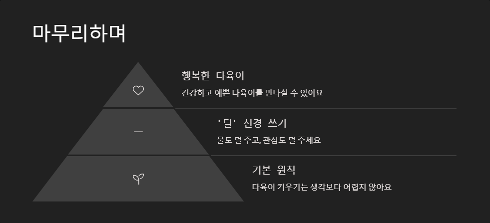 다육이 병충해 예방과 대처법