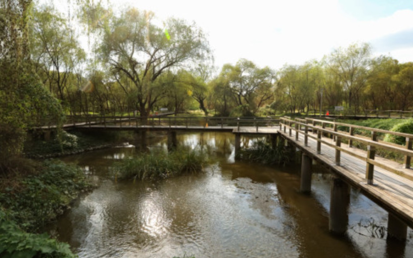 어린이날 서울 꽃 나들이 추천