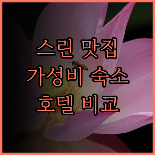 스린 야시장 인접! 그레이트 호텔 v