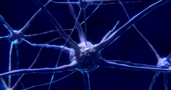 뇌가 먹는 음식이 나를 만든다: 가공식품과 신경 염증의 숨겨진 연결 고리