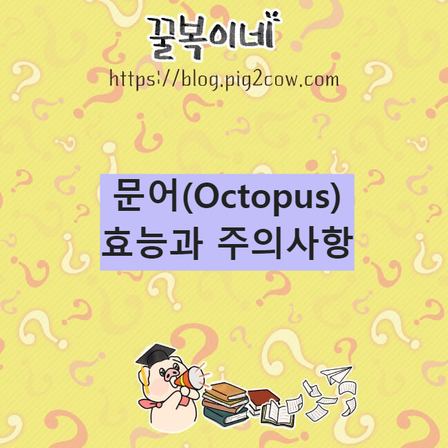 생활정보