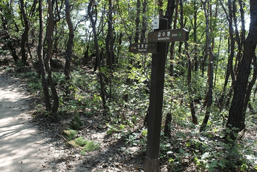 수통골10
