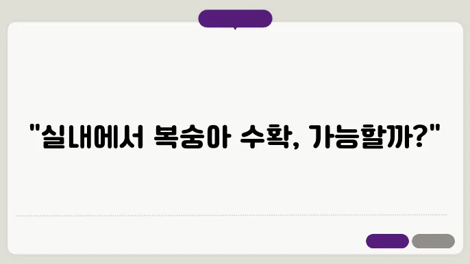 실내에서 복숭아나무 키우기 방법