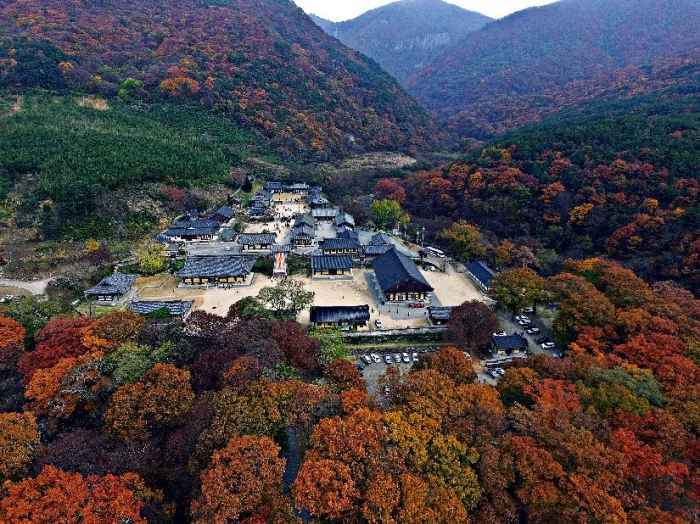 밀양 표충사 템플스테이