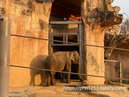 Alt 속성 문제 해결 설명 이미지