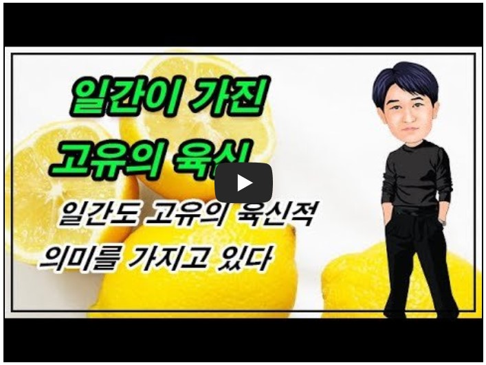 사주 유튜버 순위 TOP 10 5