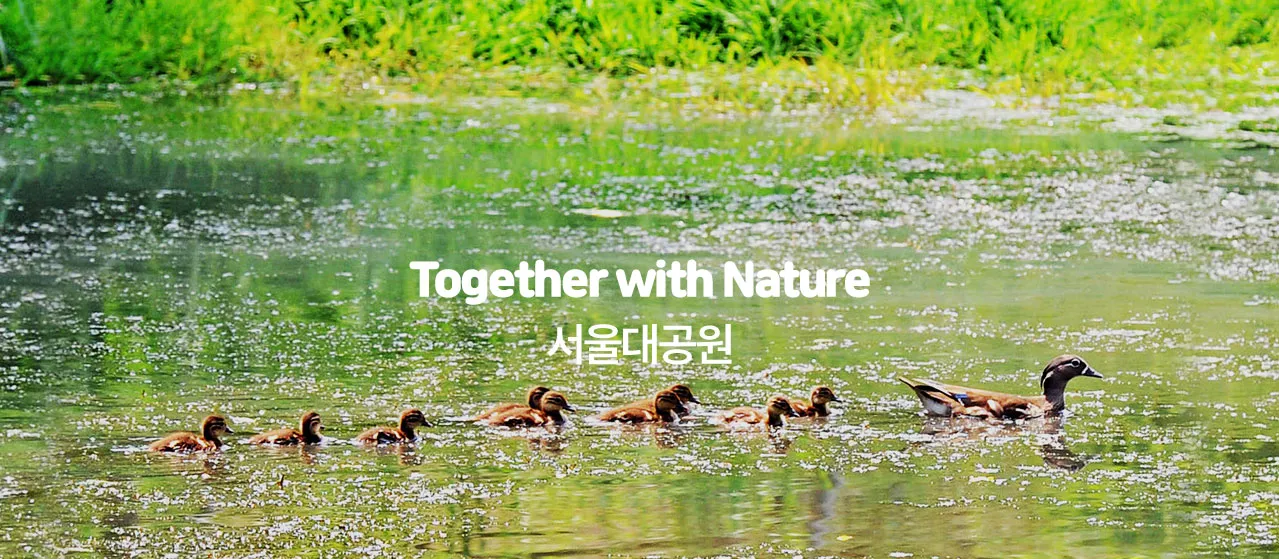 서울대공원