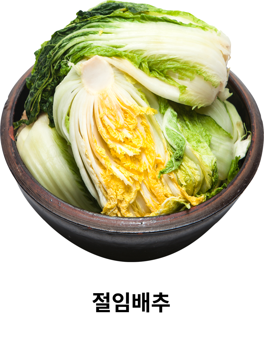 절임 배추