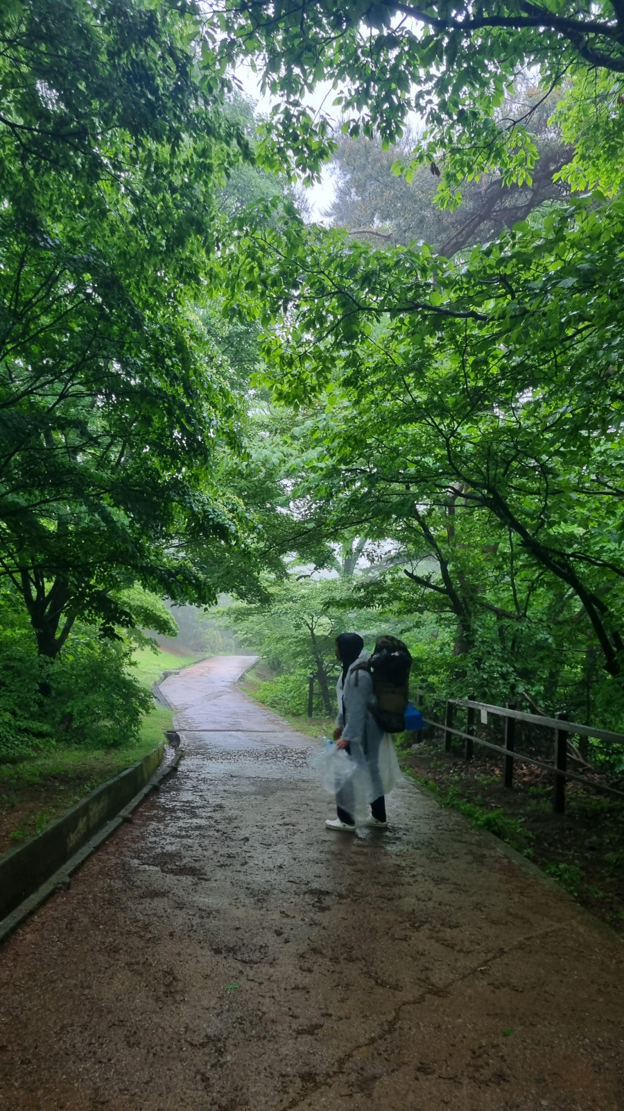 비오는 함허동천