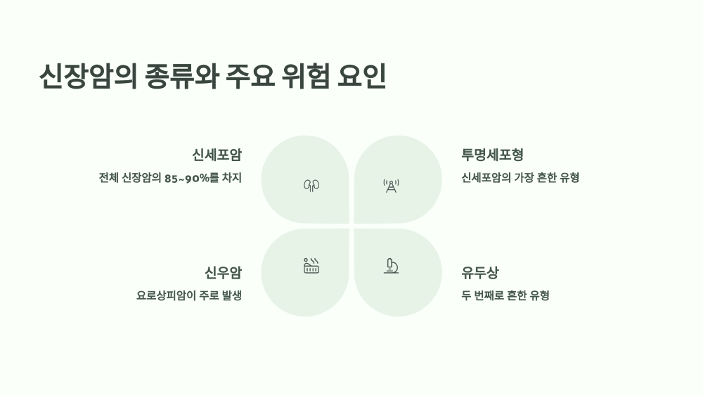 1. 신장암의 종류와 주요 위험 요인