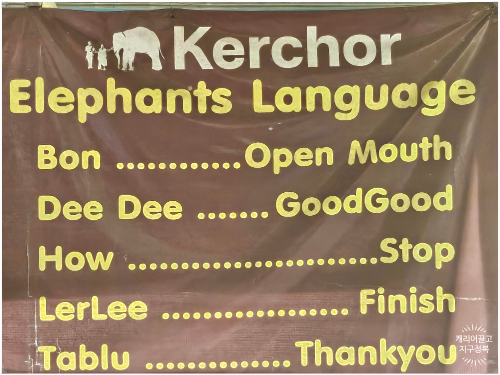 치앙마이 코끼리 보호구역