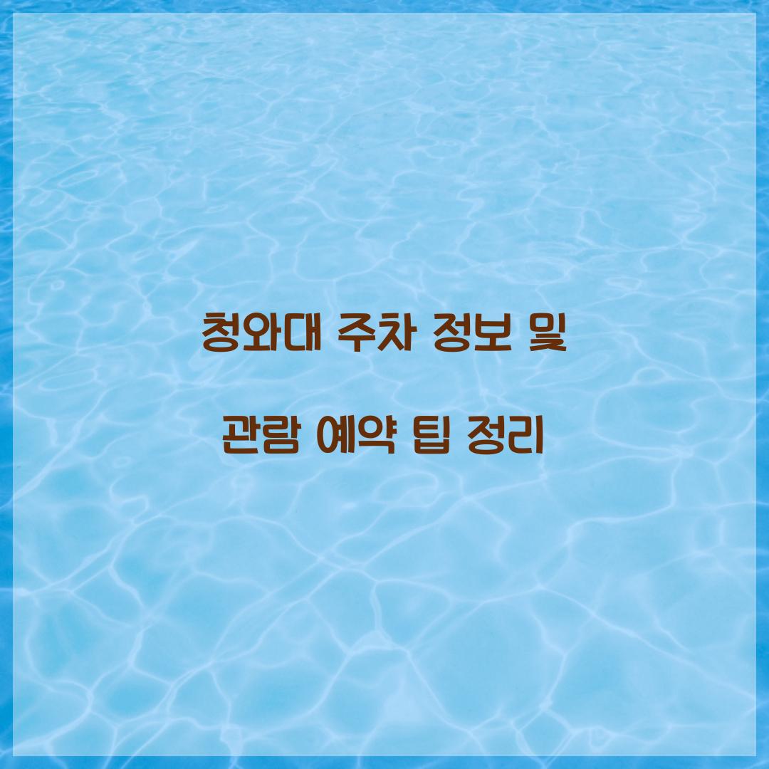 청와대 주차
