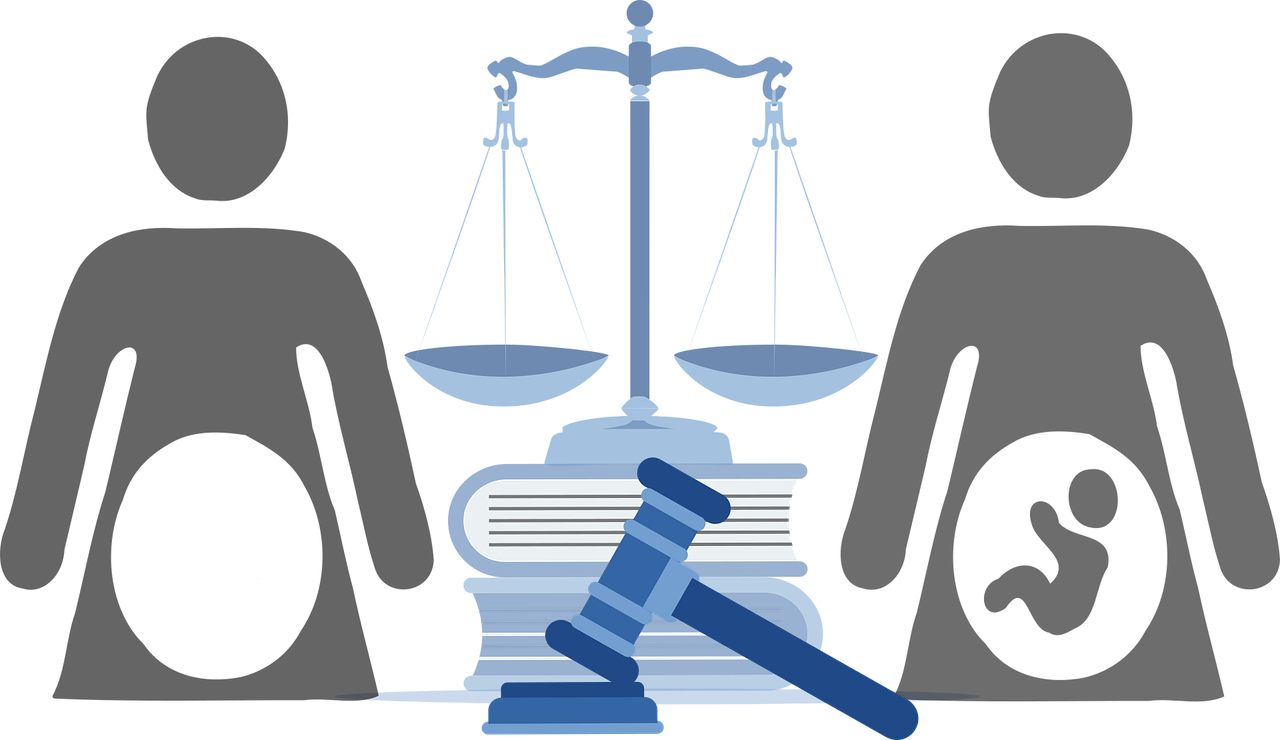 36주 임신중절 낙태 유튜버 사산 사건 정리