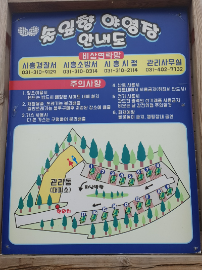 솔잎향캠핑파크