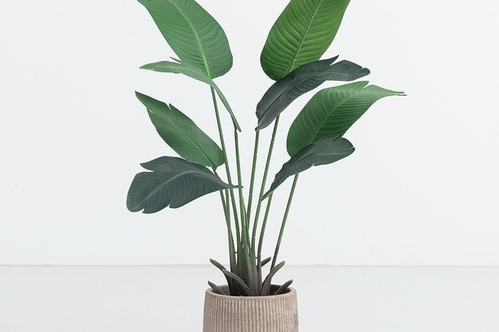 개업 축하 문구