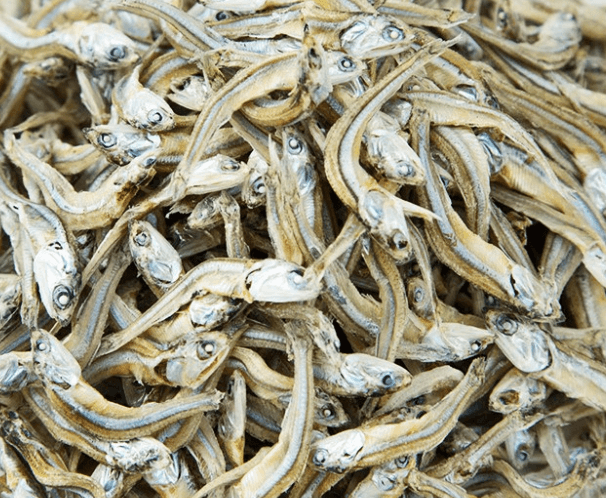 멸치볶음 딱딱하지 않게 맛있게 만드는 법 알아보기