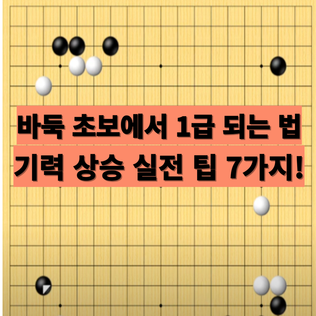 바둑 초보에서 1급 되는 법