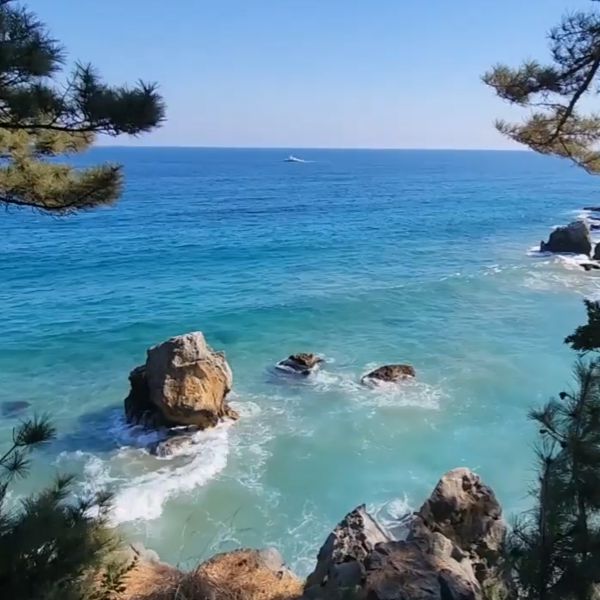 추암촛대바위 출렁다리 