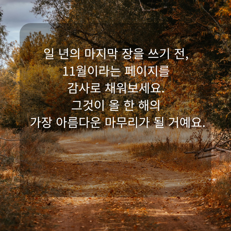 11월 인사말 문구 이미지 가을 겨울 인사글 모음집