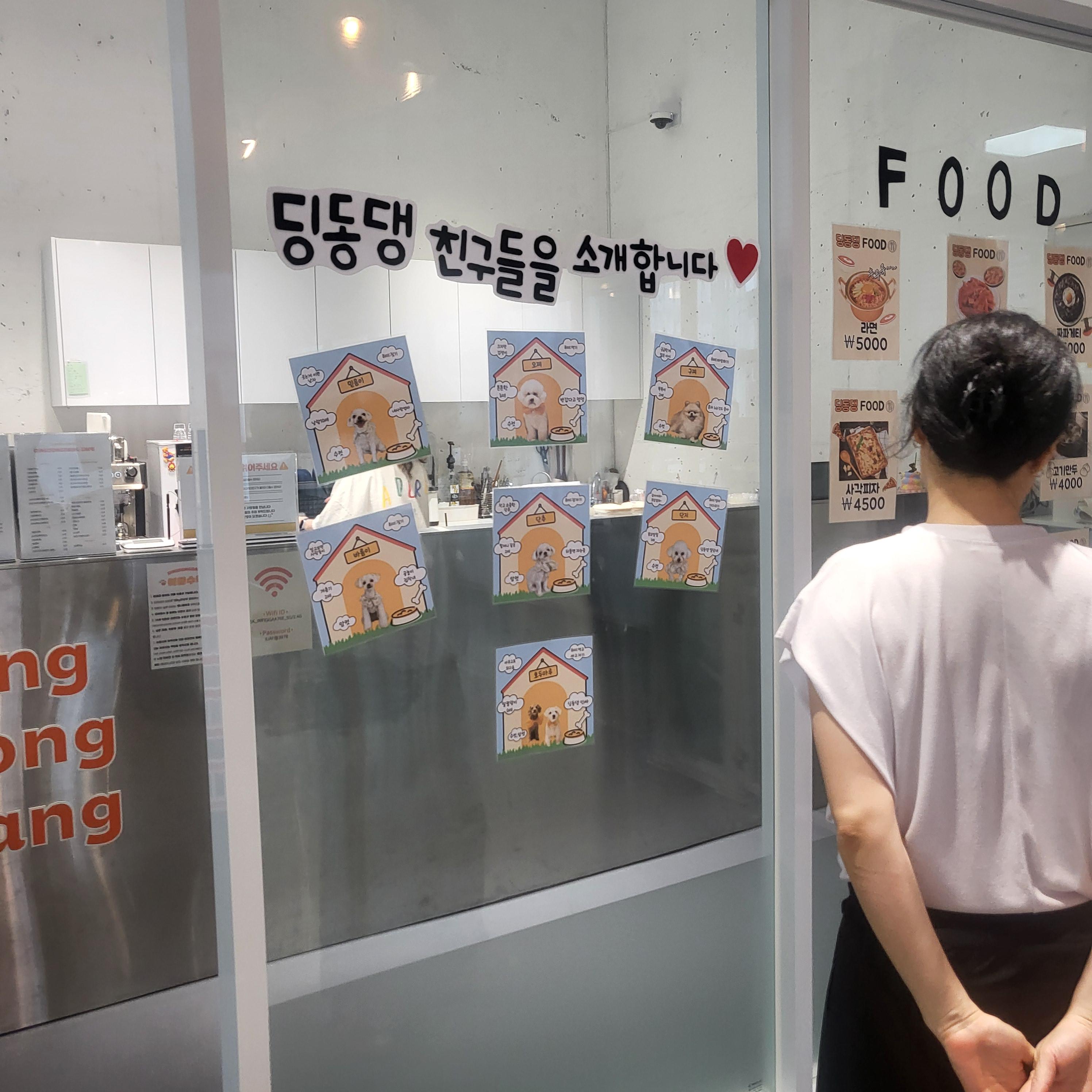 울산 애견 카페(딩동댕 애견카페)
