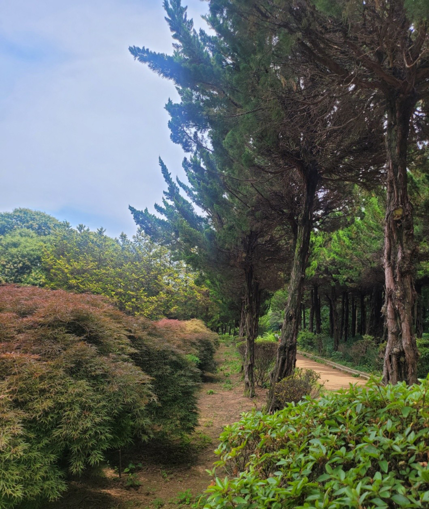 특색있고 아름다운 민간 정원 30선 추천 여행 - 28. 익산 아가페 정원