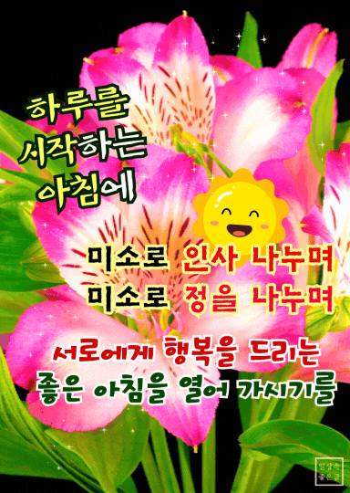 목요일 아침 미소 인사 이미지, 핑크꽃 배경 미소로 전하는 글귀