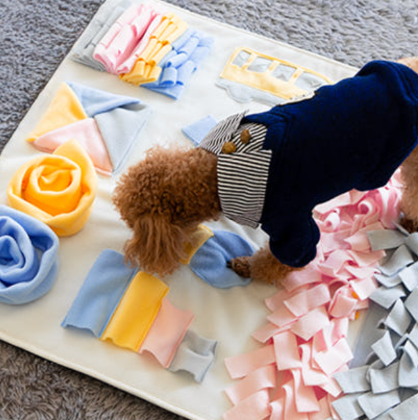 강아지 장난감 추천