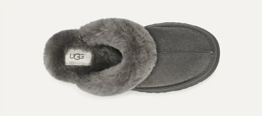 어그 디스케이트