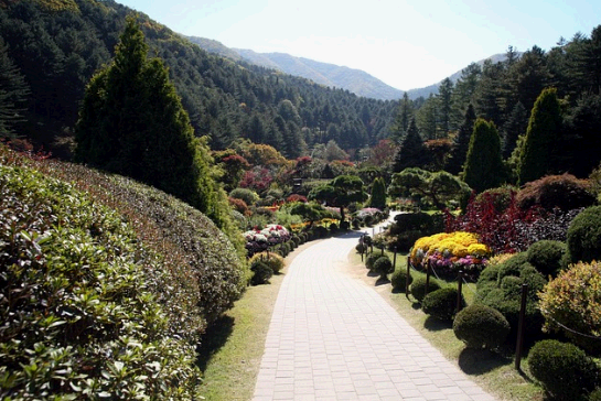 추석 가볼만한 곳 무료