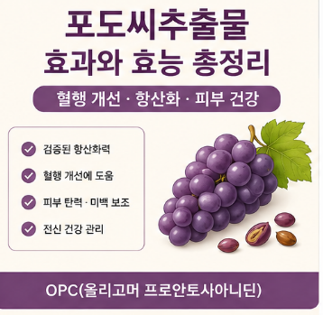 포도씨추출물-효과-효능-권장량-부작용-추천-영양제