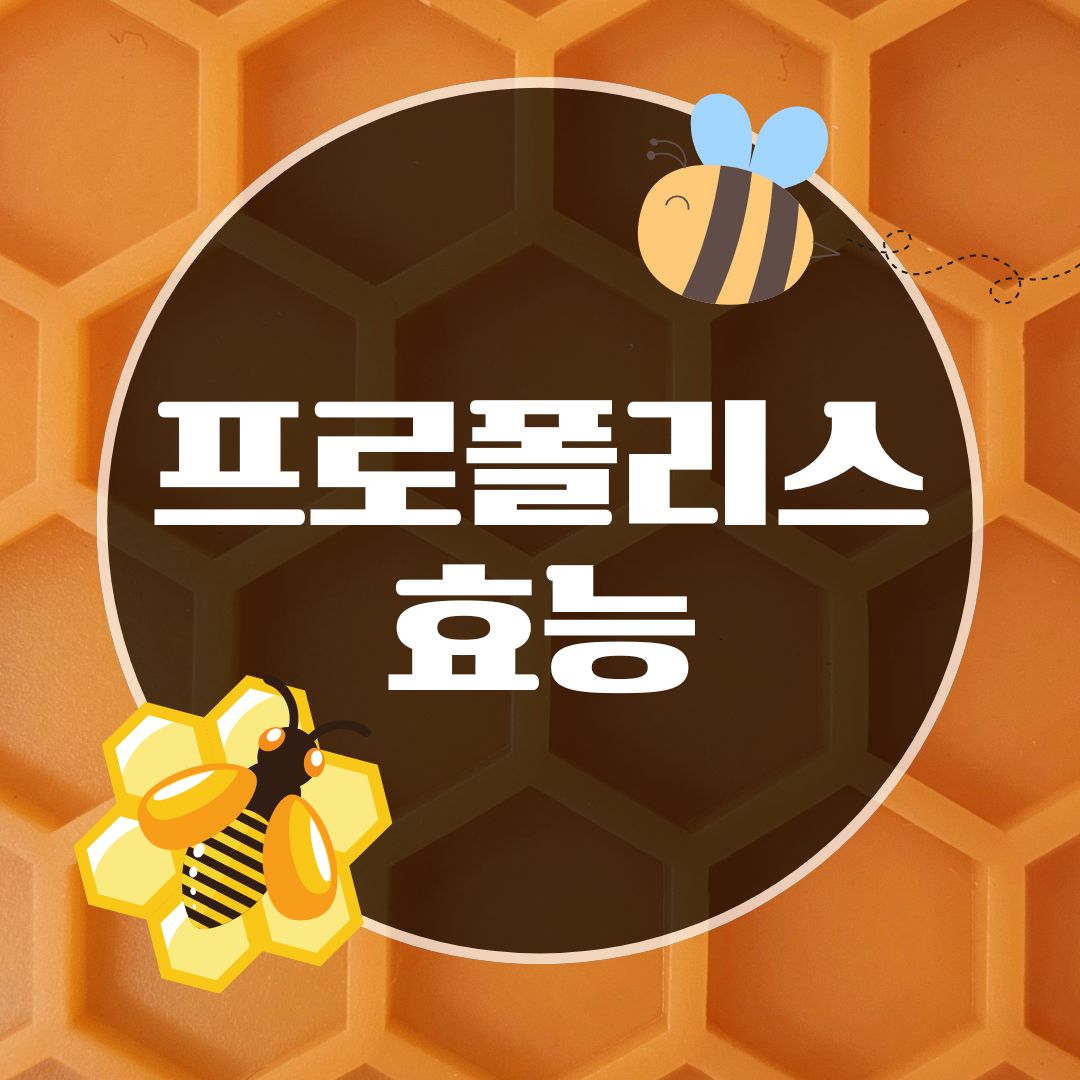 프로폴리스 효능