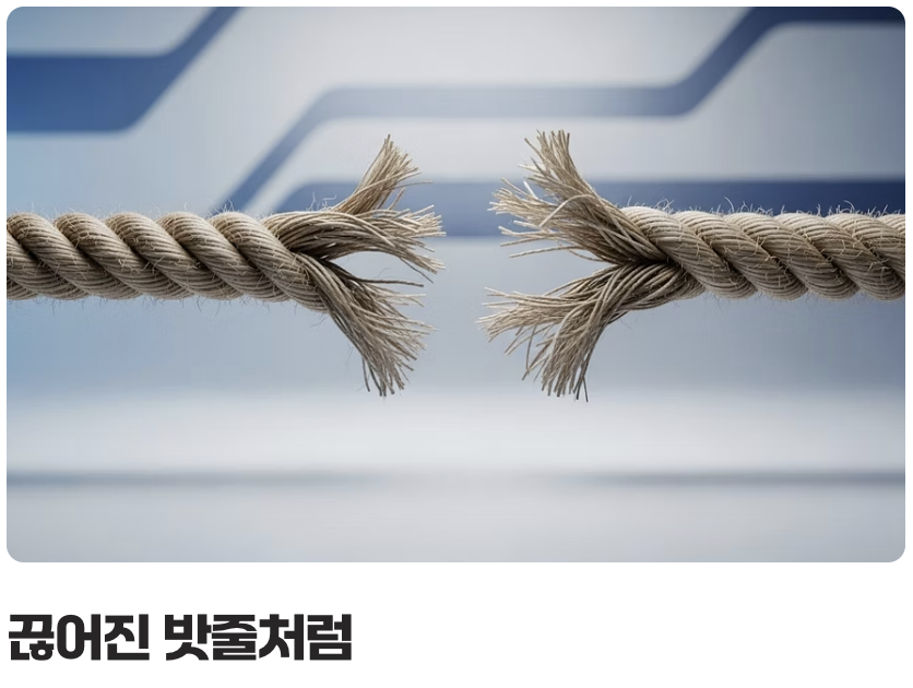 &amp;#39;회전근개 파열&amp;#39;의 정체: 찢어진 어깨 힘줄