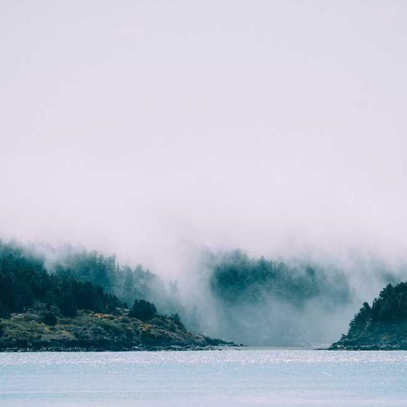 운전면허 갱신-방법