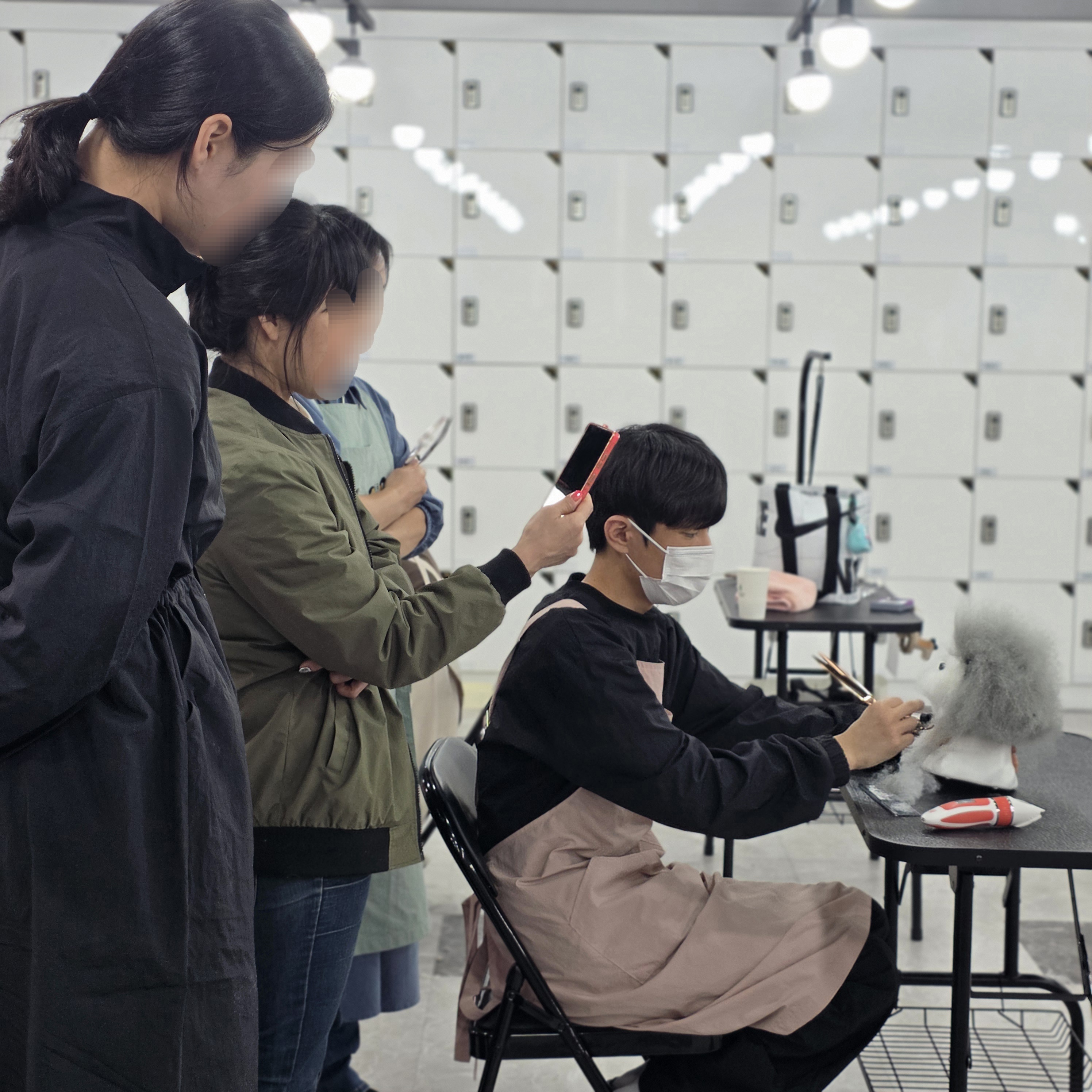 애견미용자격증취업