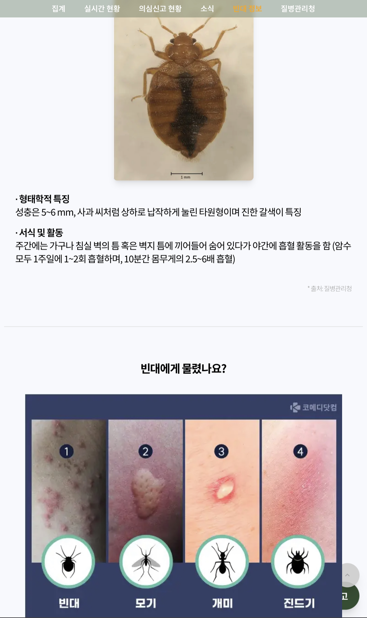 빈대 보드