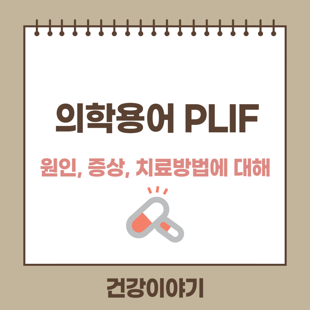 의학용어 PLIF