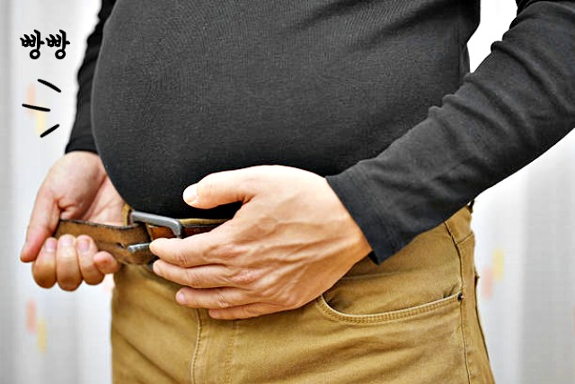 조금만 먹어도 배가 불러요, 배가 빵빵한 이유, 조금 먹어도 배부른 증상,건강 팁줌 매일꿀정보