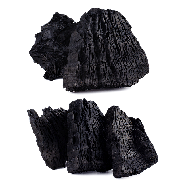 된장담을때-참숯넣기