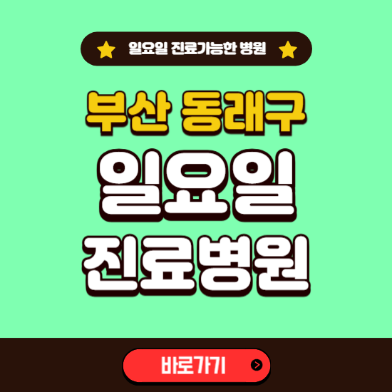 부산 동래구 일요일 진료 가능한 병원 ❘ 주말 문여는 곳 총정리 (소아과, 내과, 안과, 치과, 피부과, 정형외과, 산부인과)