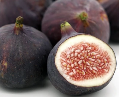 신선한 무화과 고르세요.