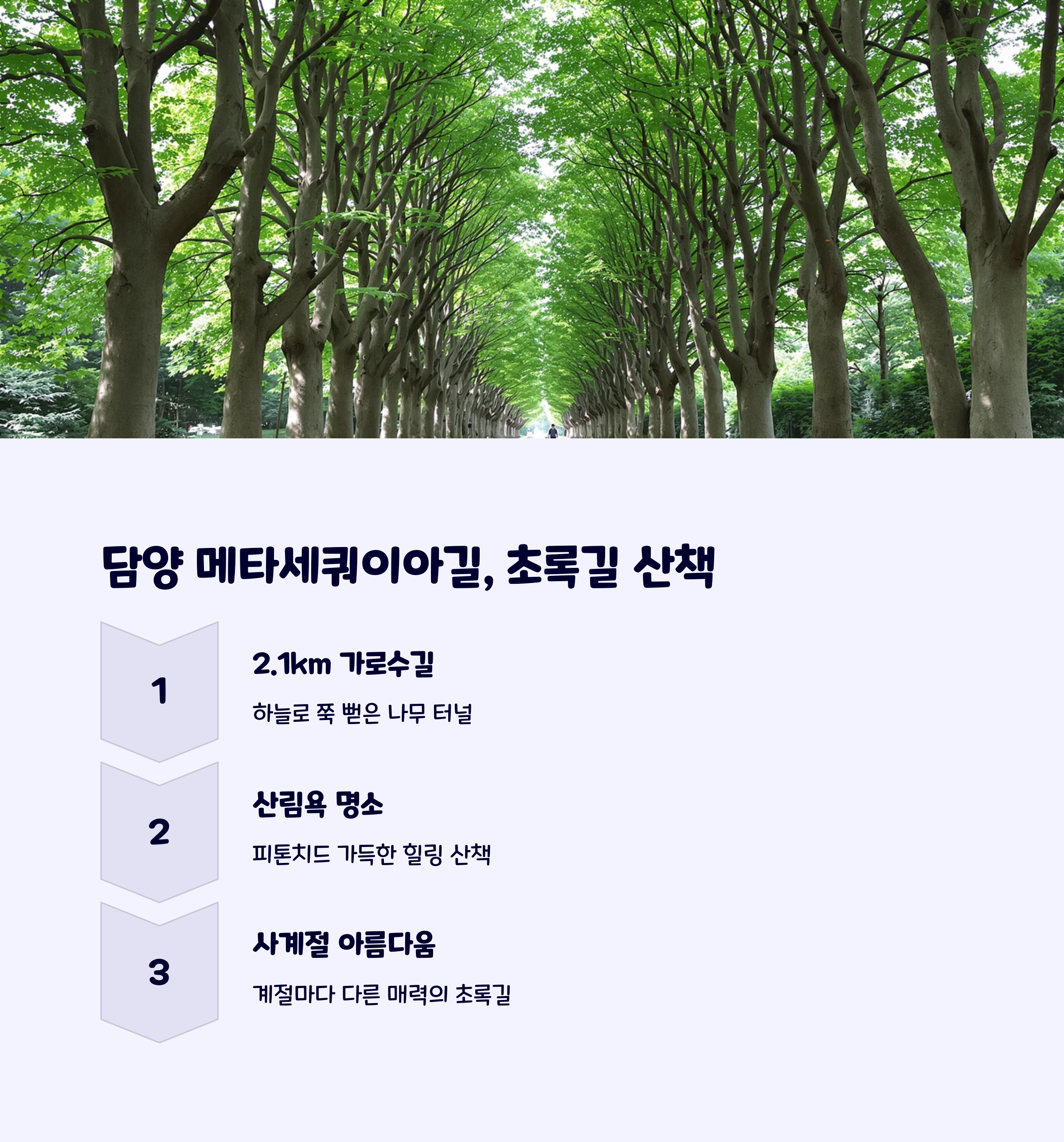 담양메타세쿼이아길