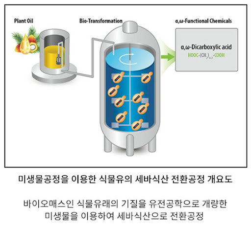 ๋ฏธ์๋ฌผ ์นํ๊ฒฝ ์๋์ง